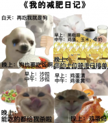 输卵管堵塞还能怀孕吗？听成都锦江妇幼介入科专家怎
