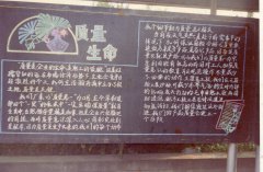 质量不是惊人之举 却是最长情告白 扬子江药业集团连
